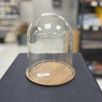 Ahşap Tabanlı Cam Fanus – 20822 - deg -